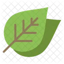 Ecology Leaf Nature Icon