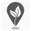 Leaf  Icon