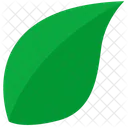 Nature Leaf Form Icon