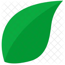 Leaf  Icon