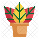 Leaf Flower Spring Icon