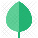 Leaf  Icon