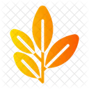 Leaf  Icon