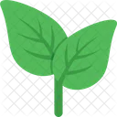 Leaf Nature Greenery Icon