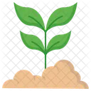 Leaf Plant Leaves Icon