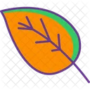 Leaf  Icon