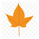 Leaf Autumn Nature Icon