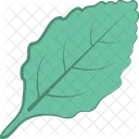 Leaf Nature Greenery Icon