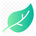 Leaf  Icon