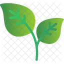 Leaf Ecology Energy Icon