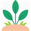 Leaf Grow Growth Icon