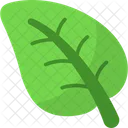 Leaf Ecology Nature Icon