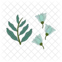 Leaf And Flower Leaf Flower Icon