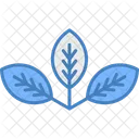 Leafs Plant Nature Icon