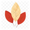 Leaves Nature Green Icon