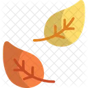 Leaves  Icon