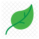 Leaves Leaf Green Leaf Icon