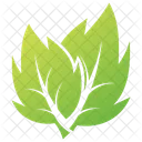 Leaves Logo Design Leaves Leaves Logo Icon