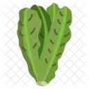 Lechuga  Icono