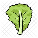 Lechuga  Icono