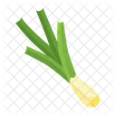 Leek  Icône