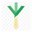 Leek  Icon