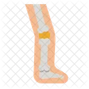 Leg  Icon