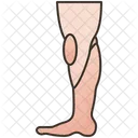 Leg  Icon