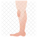 Leg Foot Knee Icon