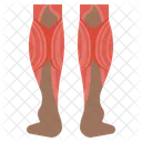 Leg  Icon