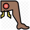 Leg  Icon