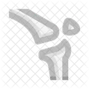 Anatomy Leg Bones Icon