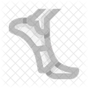 Anatomy Leg Foot Icon