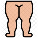 Legs  Icon