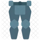 Legs Armour  Icon