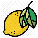 Fruit Lemon Organic Icon