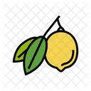 Lemon  Icon