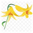 Lilium Parryi Lemon Lily Nature Icon