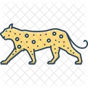 Leopardo Carnivoro Guepardo Icono