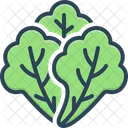 Lettuce Leaves Foliage Icon