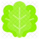 Lettuce Cabbage Beverage Icon