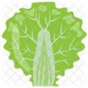 Lettuce Romaine Leaf Icon