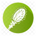 Liatris  Icon