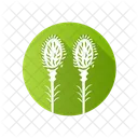 Liatris  Icon