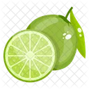 Lime Fruit Healthy Food Icon