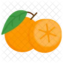 Lime Fruit Healthy Icon