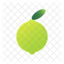 Lime  Icon