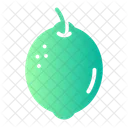 Lime Citrus Fruit Icon