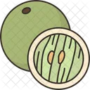 Lime Fruit Citrus Icon