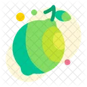 Lime Fruit Food Icon